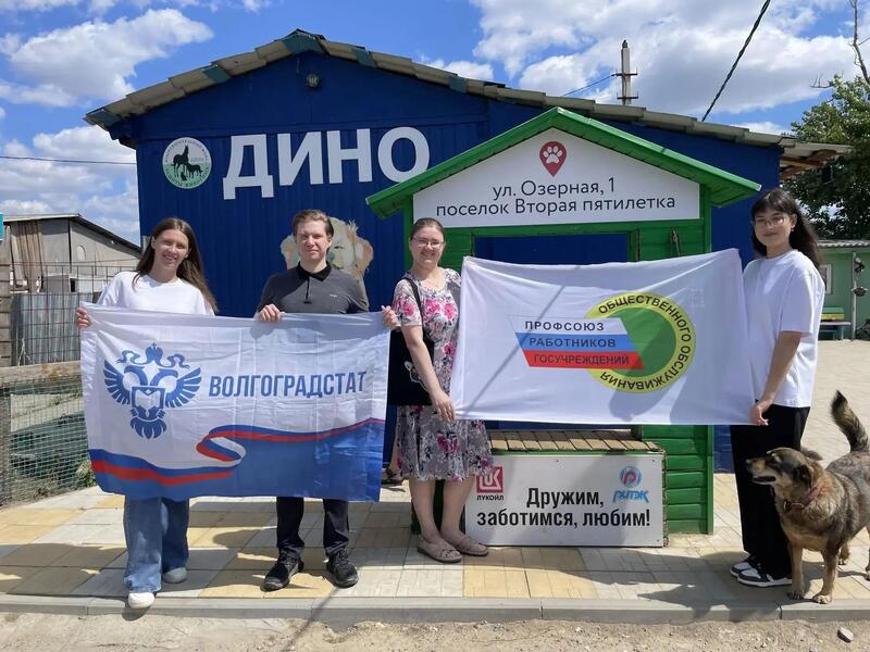 Лапа помощи: профорганизация Волгоградстата организовала сотрудников для поддержки бездомных животных