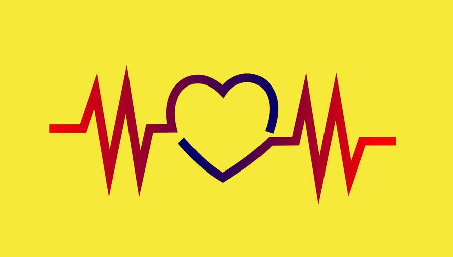 ОПЫТ ЗАРУБЕЖНЫХ ПРОФСОЮЗОВ. ФРАНЦИЯ